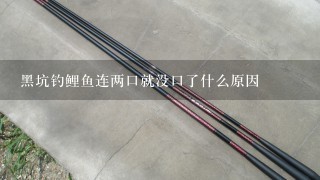 黑坑钓鲤鱼连两口就没口了什么原因