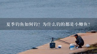 夏季钓鱼如何钓？为什么钓的都是小鲫鱼？