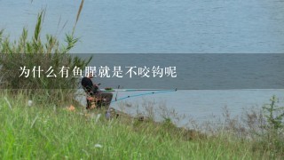 为什么有鱼腥就是不咬钩呢