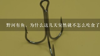 野河有鱼，为什么这几天突然就不怎么吃食了？拜托各位了 3Q