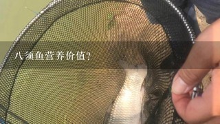 8须鱼营养价值?