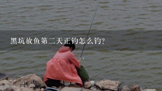 黑坑放鱼第2天正钓怎么钓？