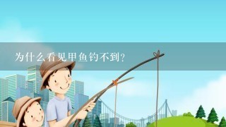 为什么看见甲鱼钓不到？