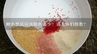 鲤鱼黑坑应该限杆多少？请大师们指教？