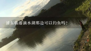 浦东临港滴水湖那边可以钓鱼吗？