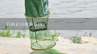 钓鱼正口死鱼原因？