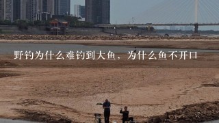 野钓为什么难钓到大鱼，为什么鱼不开口