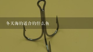 冬天海钓适合钓什么鱼