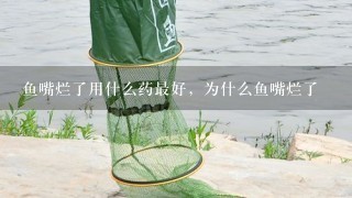 鱼嘴烂了用什么药最好，为什么鱼嘴烂了