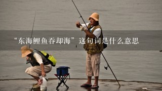 “东海鲤鱼吞却海”这句词是什么意思