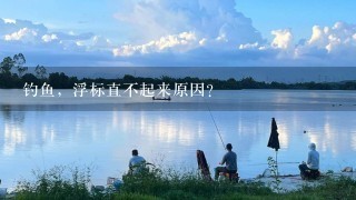 钓鱼，浮标直不起来原因？