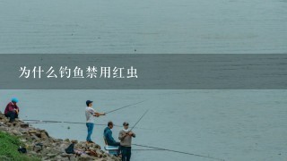 为什么钓鱼禁用红虫