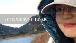 海里的鱼都靠岸了什么原因