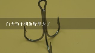 白天钓不到鱼躲那去了