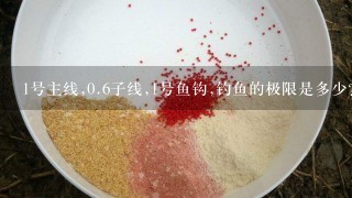 1号主线,0.6子线,1号鱼钩,钓鱼的极限是多少?