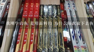 我刚学钓鱼 是用面料钓 为什么每次放下去鱼都把诱饵