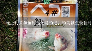 晚上钓黄颡鱼钓远还是钓近？钓黄颡鱼最佳时间是什么