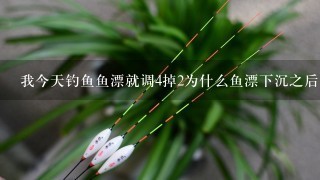 我今天钓鱼鱼漂就调4掉2为什么鱼漂下沉之后没有多久自己就会上来到4目？