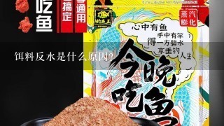 饵料反水是什么原因？