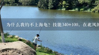 为什么我钓不上海龟？技能340+100，在北风的各个鱼点都有钓过，还得到了2000条鱼成就，为什么不得呢？