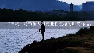 “黑坑”是钓鱼人对商业性鱼塘的时尚称谓，黑坑为什