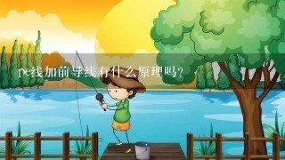 pe线加前导线有什么原理吗？