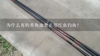 为什么有的养鱼池禁止用红虫钓鱼?