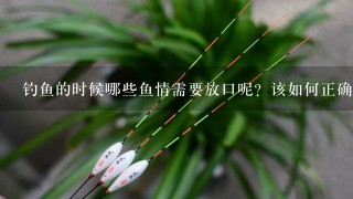 钓鱼的时候哪些鱼情需要放口呢？该如何正确的抓口？