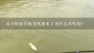 水少时好钓鱼突然涨水了为什么不吃钩？