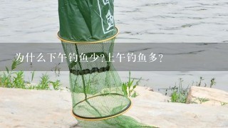 为什么下午钓鱼少?上午钓鱼多？