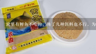 窝里有鲤鱼不吃钩，换了几种饵料也不行，为什么？