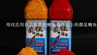 用化氏饵在黑坑里钓鲤鱼为什么上的都是鲫鱼？