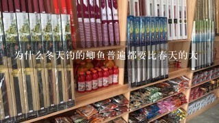 为什么冬天钓的鲫鱼普遍都要比春天的大