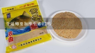 牛逼鲫要加维生素B2吗