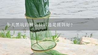 冬天黑坑钓鲤鱼拉饵还是搓饵好？