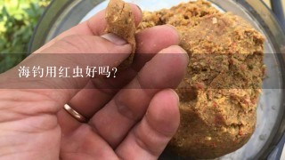 海钓用红虫好吗？