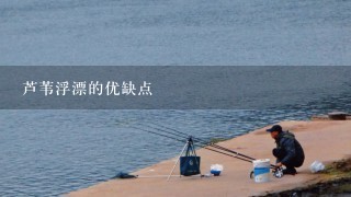 芦苇浮漂的优缺点