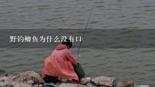 野钓鲫鱼为什么没有口