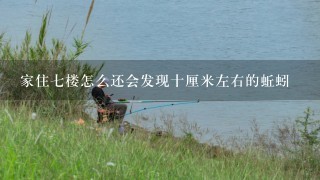 家住7楼怎么还会发现十厘米左右的蚯蚓