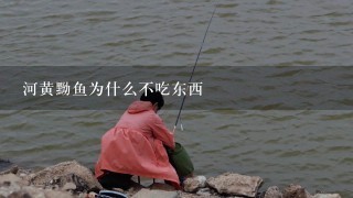 河黄黝鱼为什么不吃东西