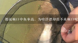 都说顿口中鱼率高，为啥浮漂却出不来顿口呢？鱼为什