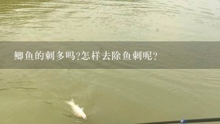 鲫鱼的刺多吗?怎样去除鱼刺呢？