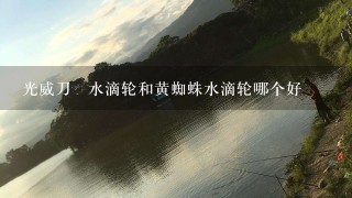 光威刀冴水滴轮和黄蜘蛛水滴轮哪个好