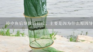 掉中鱼后导致的切线，主要是因为什么原因导致的呢？