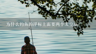 为什么钓鱼的浮标上面要两个太空豆