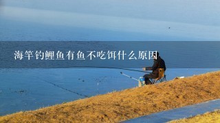 海竿钓鲤鱼有鱼不吃饵什么原因