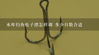 水库钓鱼电子漂怎样调 多少目数合适