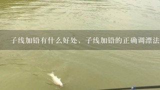 子线加铅有什么好处，子线加铅的正确调漂法