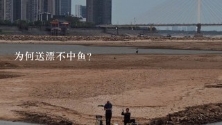 为何送漂不中鱼？