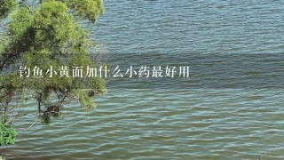 钓鱼小黄面加什么小药最好用